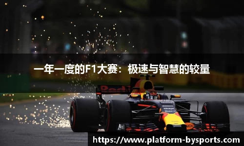一年一度的F1大赛：极速与智慧的较量